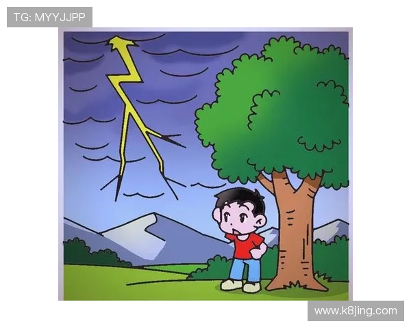 闪电 21 点:探索闪电在自然界中的能量释放与影响力 闪电 21 点:探索闪电在自然界中的能量释放与影响力